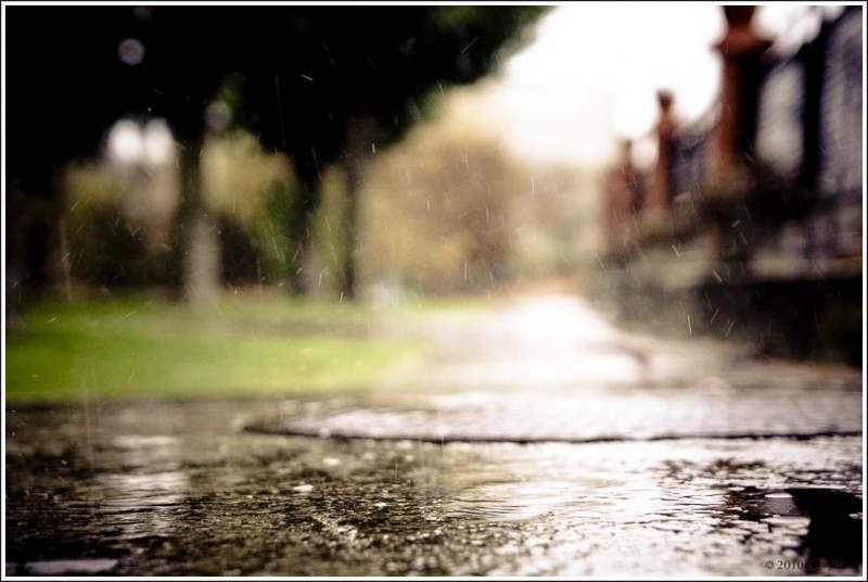 Agua a ras de suelo