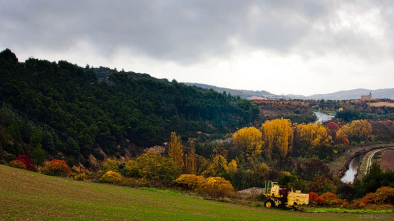 llegando_a_estella